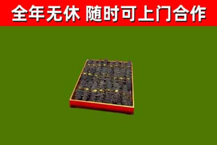 广州市烟酒回收海参.jpg